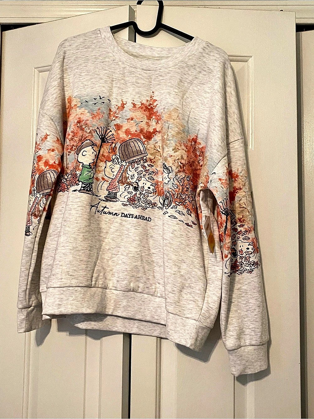 Peanuts Autumn Graphic Sweatshirt Size Medium
